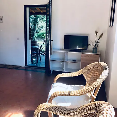 I Tigli * Campiglia Marittima