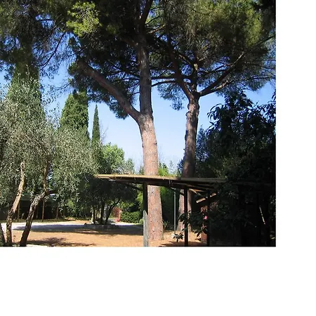 Aparthotel I Tigli Campiglia Marittima